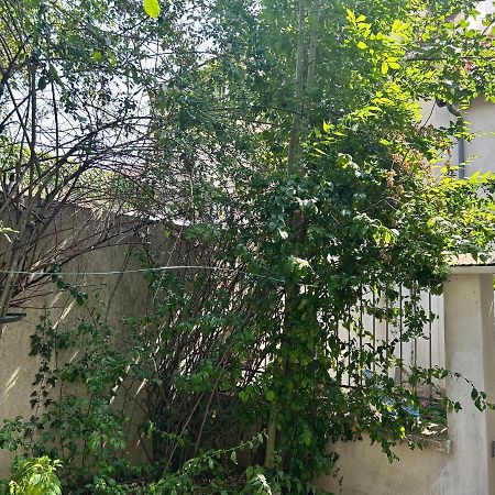 Studio3 Centre Ville Massy Massy  Ngoại thất bức ảnh